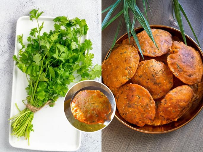 Kothimbir Puri Coriander Puri Hare Dhaniye Ki Puri Recipe How To Make Coriander Puri | कोथिंबिरीची हिरवीगार जुडी आणली, मग कोथिंबीर पुरीचा बेत तर हवाच, टी - टाईम स्नॅक्ससाठी टेस्टी पदार्थ...
