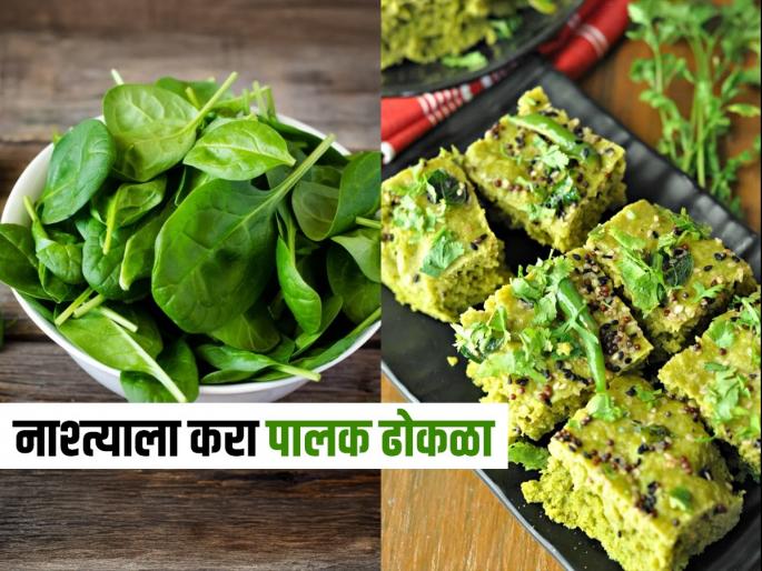 try making this spinach dhokla; very easy and nutritious | ढोकळा तर करताच, आता हा पालक ढोकळा करुन पाहा; अगदी सोपा व पौष्टिक