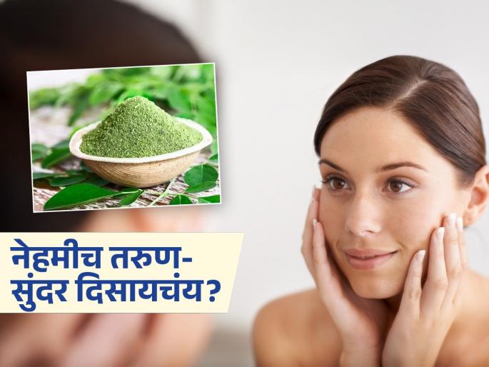 benefits of moringa powder, use of moringa powder for glowing skin and hair growth, best home hacks for reducing wrinkles, how to reduce fine lines | मजबूत हाडं-भरपूर चपळपणा हवा असेल तर ‘या’ पद्धतीने खा शेवग्याची पावडर- कायम राहाल तरुण
