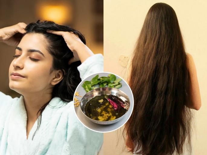 how to care dry and oil hair which hair oil best for hair falls doctor said how to stop hair problem simple home remedies | कोरडे-तेलकट केस चांगले राहण्यासाठी काय करावं? कोणते तेल ठरेल फायदेशीर, तज्ज्ञ सांगतात...