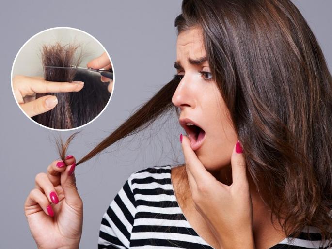 Are you worried about your hair falling out all the time? Before you get frustrated and cut your hair, here's what to do. | सतत गळणाऱ्या केसांनी डोकं सटकतं? वैतागून केस कापण्यापूर्वी पाहा काय करायचे.