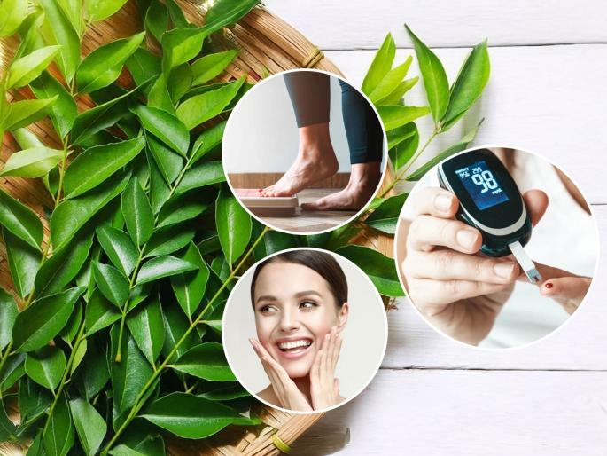 Health Benefits and Uses Of Curry Leaves 5 reasons to chew curry leaves on an empty stomach Chew These Leaves On An Empty Stomach For Health | फोडणीतला कडीपत्ता फेकून देऊ नका, चावून खा! वजनही होईल कमी-त्वचा होईल तुकतुकीत...