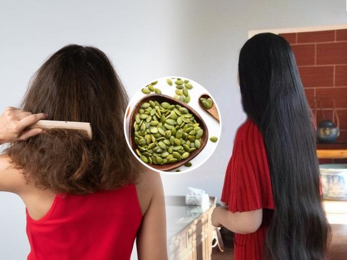 Do pumpkin seeds make hair stronger? See what happens if you eat pumpkin seeds every day | भोपळ्याच्या बियांमुळे केस होतात मजबूत? पाहा रोज भोपळ्याच्या बिया खाल्या तर काय होईल