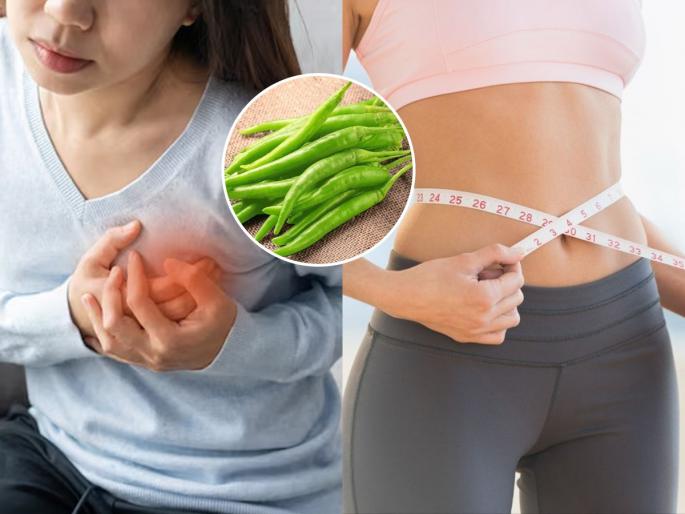 5 health benefits of eating green chilies with your meals Top 5 Health Benefits Of Green Chillies 5 surprising health benefits of green chilli | हाय- हाय मिरची!वेटलॉसपासून हृदयाच्या आरोग्यापर्यंत मिरची म्हणजे सुपरफूड, झणझणीत पण गुणकारी...