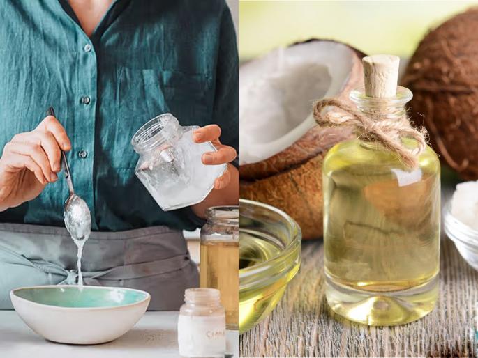 Make coconut oil now at home, if you want pure oil, this is what you need to do! | नारळाचं तेल आता ‘असं’ करा घरी झटपट, शुद्ध तेल हवं असेल तर एवढं करायलाच हवं!