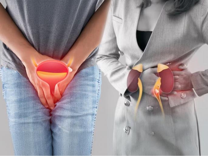 If You See These 4 Signs In Your Urine Then Understand That Your Kidney Is Not Working Properly Warning Signs of Kidney Problems 4 Signs You May Have Kidney Disease | लघवीतले ‘हे’ ४ बदल सांगतात किडनीच्या आजाराची लक्षणं, पाहा तुम्ही दुर्लक्ष तर करत नाही ना...