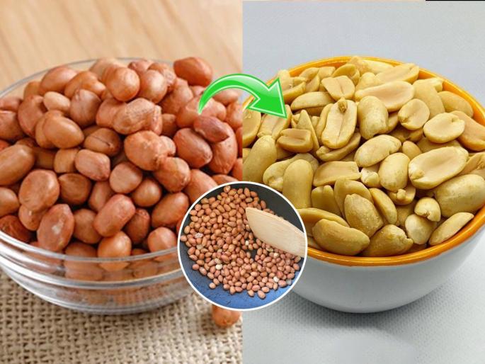 Chef Ranveer Brar Shares Quick & Easy Tips To Remove Peanut Skin How to easily remove peanut skins Peanut peel is not easily removed, this 1 simple trick of Chef Ranbir Brar will work, try it | एका मिनिटांत काढा किलोभर भाजलेल्या शेंगदाण्याची टरफलं! रणबीर ब्रारची पाहा १ भन्नाट ट्रिक...