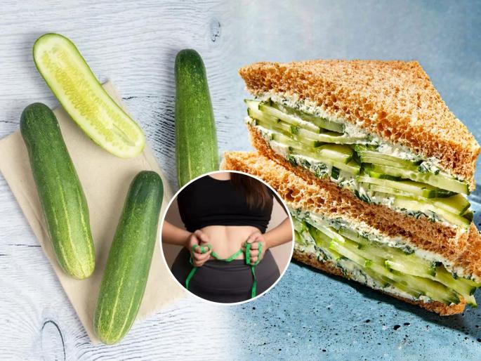 Eat a crunchy cucumber sandwich and get fit, a delicious recipe that can be made in 5 minutes | गारेगार काकडी सॅण्डविच खा आणि फिट व्हा, मोजून ५ मिनिटांत करता येणारी चविष्ट रेसिपी