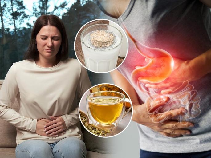 Drink These 5 Things Mixed In Water Every Morning To Clean Stomach During Summer Season Morning Drink To Clean Stomach | उन्हाळ्यात पोटाच्या तक्रारी सतावतात, पोट साफ होत नाही? कोमट पाण्यात मिसळा ५ पदार्थ - पोट राहील शांत...