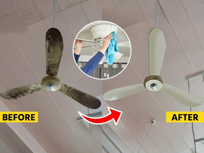 How to Clean a Ceiling Fan at home Homemade Best solution to clean ceiling fans What is the best solution to clean ceiling fans with | उन्हाळ्यात फॅन गरागरा फिरतो पण पात्यांवर काळे धुळीचे थर? करा १ घरगुती उपाय - फॅन दिसेल नव्यासारखा...