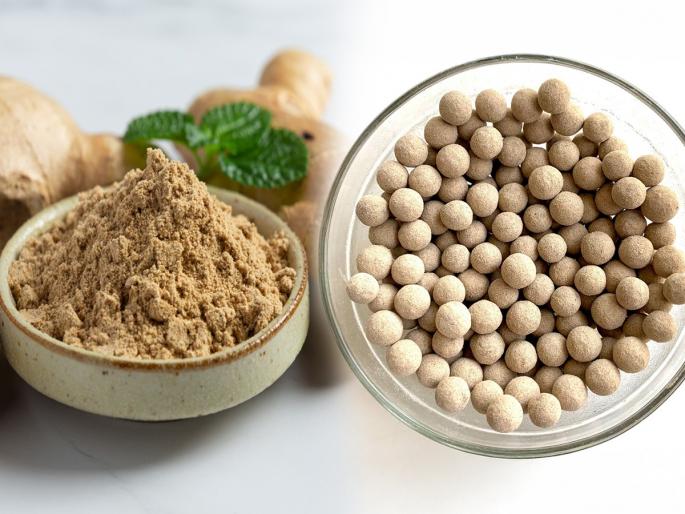 Make this herbal candy at home right now, cold or cough won't bother you during the monsoon! Eat it daily | आत्ताच अशी सुंठ गोळी करा घरी, पावसाळ्यातला सर्दीखोकला छळणारच नाही! पावसात भिजण्यापूर्वी खा.