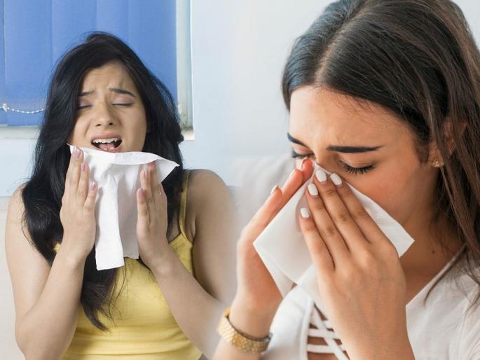Do you sneeze all the time? Sneezing is not only caused by colds and sinuses, see 2 more reasons | तुम्हालाही सारख्या शिंका येतात का? शिंका फक्त सर्दी आणि सायनसमुळेच येत नाहीत, पाहा २ कारणं..