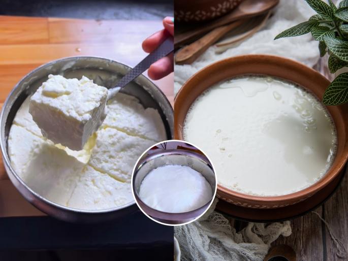 Monsoon season how to make malai creamy curd at home 2 simple tips for sweet homemade dahi without sugar | पावसाळ्यात झटपट विकतसारखं घट्ट मलईदार दही लावण्यासाठी २ सोप्या टिप्स, परफेक्ट वड्या पडतील-चवीलाही गोड
