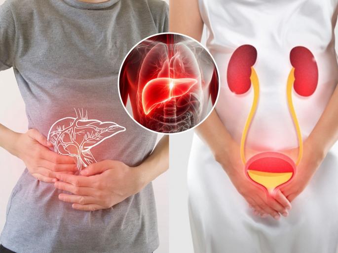4 signs of liver damage indicate urine disease symptoms causes never ignore | लघवीमध्ये दिसतात लिव्हर खराब होण्याचे ४ संकेत, दुर्लक्ष करणं पडेल महागात, वेळीच घ्या काळजी