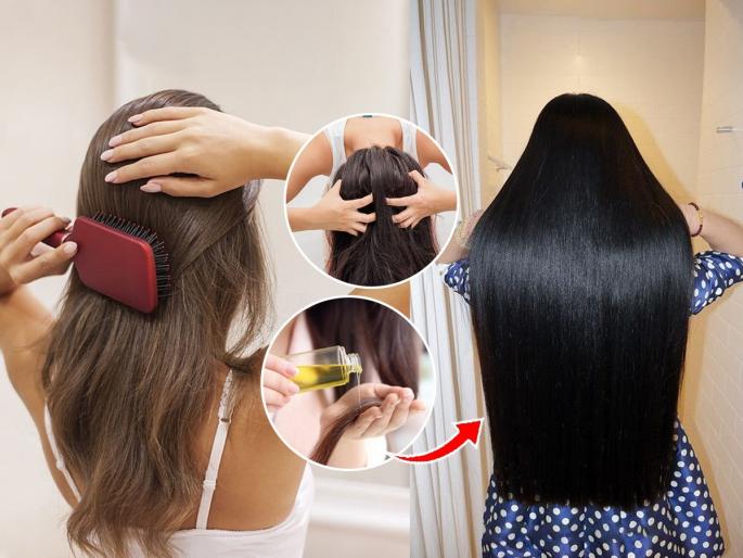 2 hair care tips for long and thick hair, protein mask for hair growth, how to control hair loss, how to make hair oil at home | केस जाड आणि लांब होण्यासाठी २ सोप्या टिप्स- केसांच्या सगळ्याच समस्या होतील कमी 