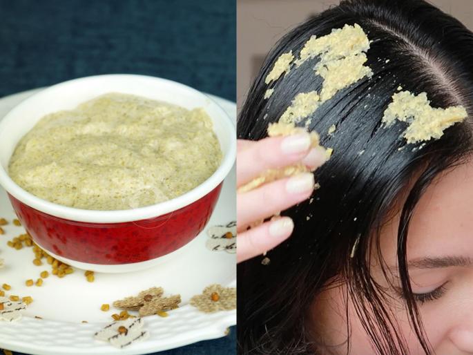 hair care tips curd and fenugreek seeds mask for dry and frizzy hair how to control hair loss problem | कोरड्या केसांसाठी होममेड हेअर मास्क!दह्यात कालवा १ गोष्ट, टाळू राहिल निरोगी- केसांच्या समस्यांपासून होईल सुटका