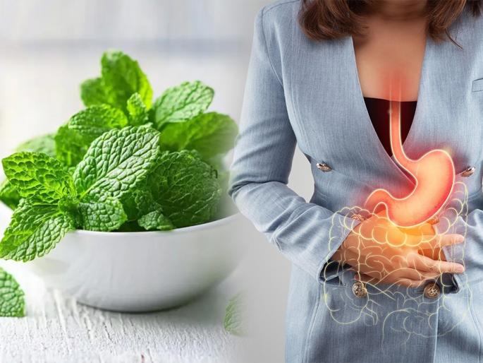 Stomach Problems Treatment With Mint Know How & When To Use 5 Health Benefits of Mint 5 home remedies for an upset stomach Mint Leaves Powerful benefits for stomach you must know | पोटाच्या 'या' ५ तक्रारींवर पुदिन्याची पाने म्हणजे वरदान! कोणत्या समस्येसाठी पुदिना कसा फायदेशीर ते पाहा...