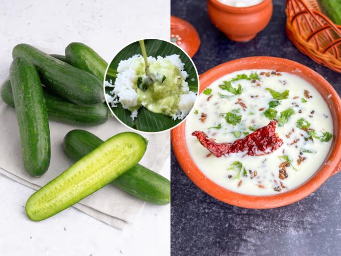 South indian traditional dish Cucumber Tambali delicious how to make tadka dahi recipe | साऊथ इंडियन पदार्थातील खास पारंपरिक पदार्थ 'काकडीची तांबळी', भातासोबत खा चवीने सार, पहा रेसिपी