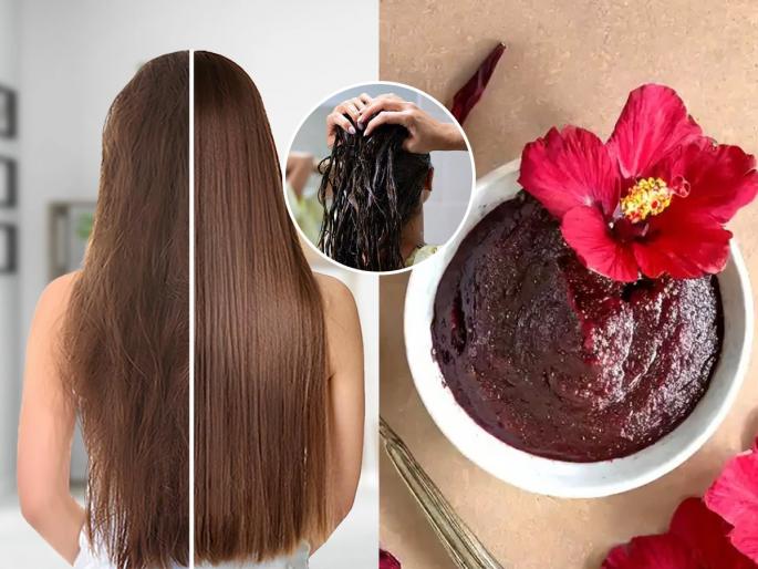 Try this ancient Ayurvedic Hibiscus Hair Mask For Frizzy Hair During Rainy Days Ways to Use Hibiscus For Healthy Hair Make Hibiscus Hair Masks At Home For Healthy Hair | जास्वंदीच्या पानाफुलांचा हेअर मास्क पावसाळ्यात करतो केसांवर जादू, कोरडे-राठ केस होतात मऊमऊ सुंदर...