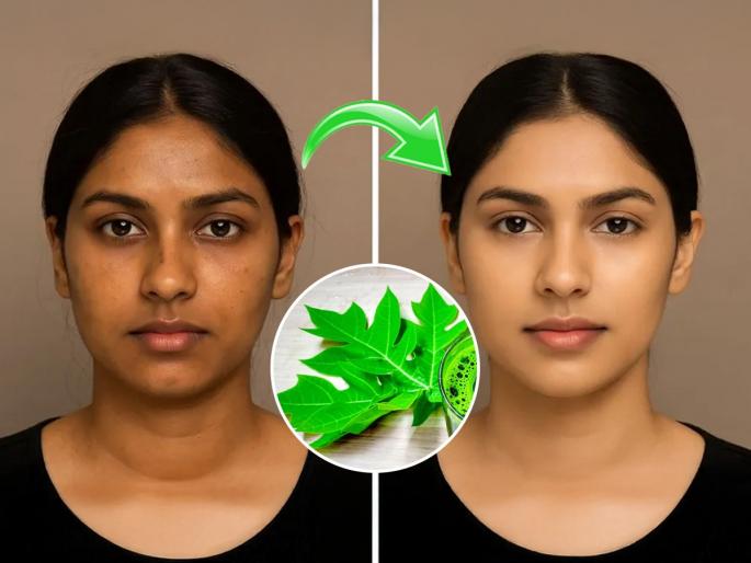 How to make a papaya leaf face mask Benefits Of Papaya leaf For Your Skin The Right Ways To Use papaya leaf face mask | पपईची पानं म्हणजे त्वचेसाठी वरदान, पपईच्या पानांचा ‘असा’ फेसमास्क चेहऱ्यावर आणतो नवी चमक...