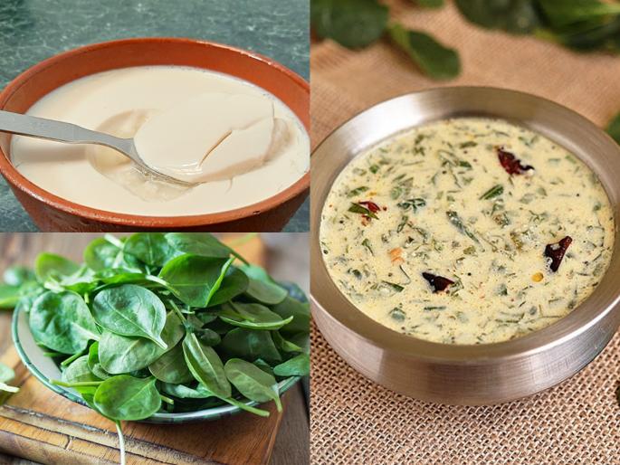 Eat Dahi Palak - you'll fall in love with spinach! The taste is awesome | दह्यातला पालक खा-पालकाच्या पडाल प्रेमात! ताज्या नारळाचे वाटण लावलेल्या या भाजीची चव म्हणजे अहाहा..