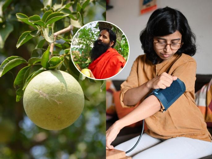 Ramdev baba reveals benefits of bilva patra, Health benefits of bilva patra for controlling blood pressure and sugar | ब्लड प्रेशर-शुगर नेहमी वाढलेली असते? रामदेव बाबा सांगतात खास उपाय- तब्येत राहील ठणठणीत 