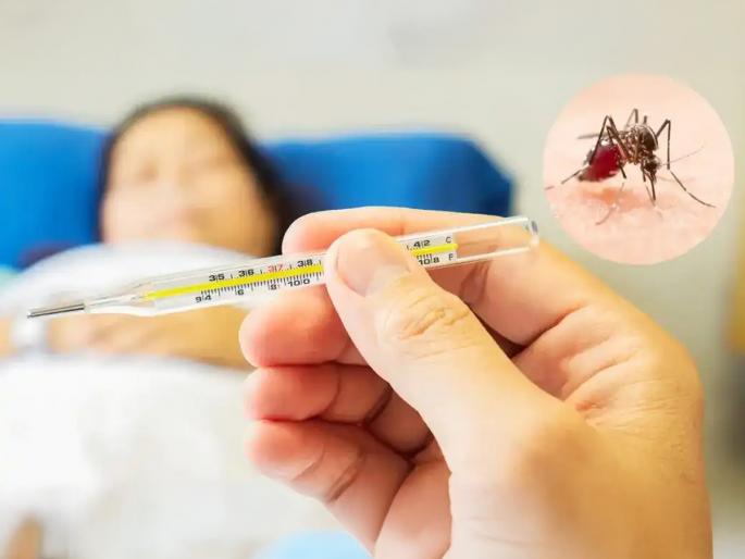 dengue patients are increasing day by day, how to protect your self and your family from dengue, preventive tips for dengue  | पाऊस पडताच डेंग्यूच्या रुग्णांमध्ये वाढ! डेंग्यूपासून संरक्षण करण्यासाठी ५ टिप्स, लहान मुलांची घ्या काळजी