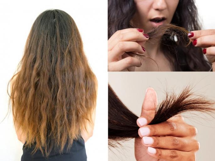 How to Prevent Split Ends and Hair Breakage How to get soft hair ends permanently How to Fix Dry Hair and Split Ends How To Get Soft Hair Ends | केसांना टोकं फुटल्यामुळे सतत केस कापता? १ घरगुती हेअर मास्क - स्प्लिट एंड्स होतील कमी...