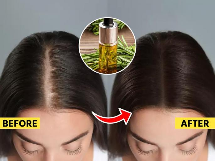 Home remedies for long hair homemade hair growth spray Mix 2 ingredients in fenugreek water stop hair falls dandruff hair will grow fast | लांबसडक केसांसाठी घरगुती उपाय! मेथी दाण्याच्या पाण्यात मिसळा २ पदार्थ, मुळापासून होईल केसांची वाढ- फाटेही फुटणार नाही