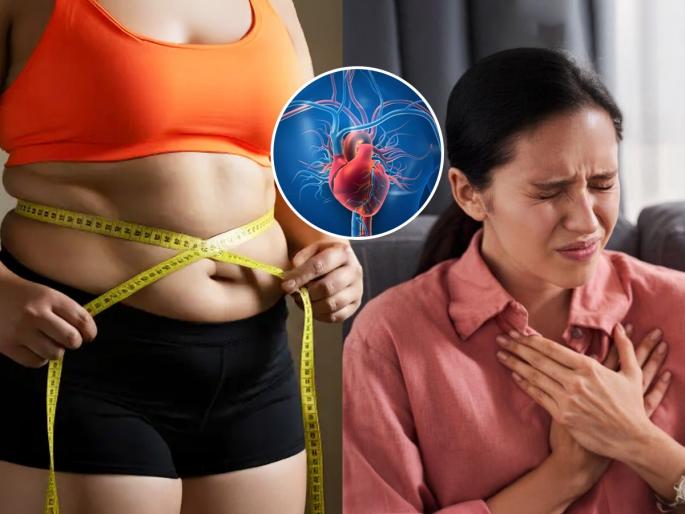 Waist Size Can Predict Heart Failure Risk New Study Reveals Waist to height ratio emerges as strong predictor of heart failure risk Waist and height measurements predict heart failure risk better than BMI | संशोधनाचा दावा, कंबरेचा घेर सांगतो हार्ट ॲटॅक येण्याचा धोका, मोजा तुमची कंबर आहे किती...