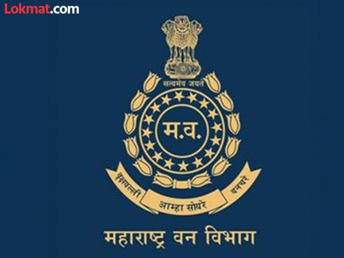 First 'IFS' category followed by name recommendation; 45 officers get seniority in three years | आश्चर्यच...! पहिले ‘आयएफएस’ श्रेणी नंतर नावाची शिफारस; तीन वर्षांत ४५ अधिकाऱ्यांना सेवाज्येष्ठता First 'IFS' category followed by name recommendation; 45 officers get seniority in three years | आश्चर्यच...! पहिले ‘आयएफएस’ श्रेणी नंतर नावाची शिफारस; तीन वर्षांत ४५ अधिकाऱ्यांना सेवाज्येष्ठता