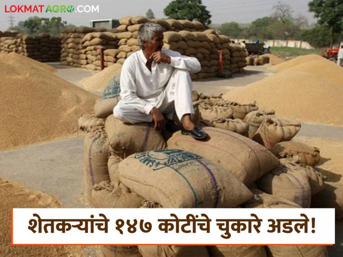 14 thousand farmers' paddy purchase arrears worth Rs 147 crore stalled; Farmers' pockets empty ahead of Kharif | १४ हजार शेतकऱ्यांच्या धान खरेदीचे १४७ कोटींचे चुकारे अडले; खरीपाच्या तोंडावर शेतकऱ्यांचे खिसे खाली 14 thousand farmers' paddy purchase arrears worth Rs 147 crore stalled; Farmers' pockets empty ahead of Kharif | १४ हजार शेतकऱ्यांच्या धान खरेदीचे १४७ कोटींचे चुकारे अडले; खरीपाच्या तोंडावर शेतकऱ्यांचे खिसे खाली