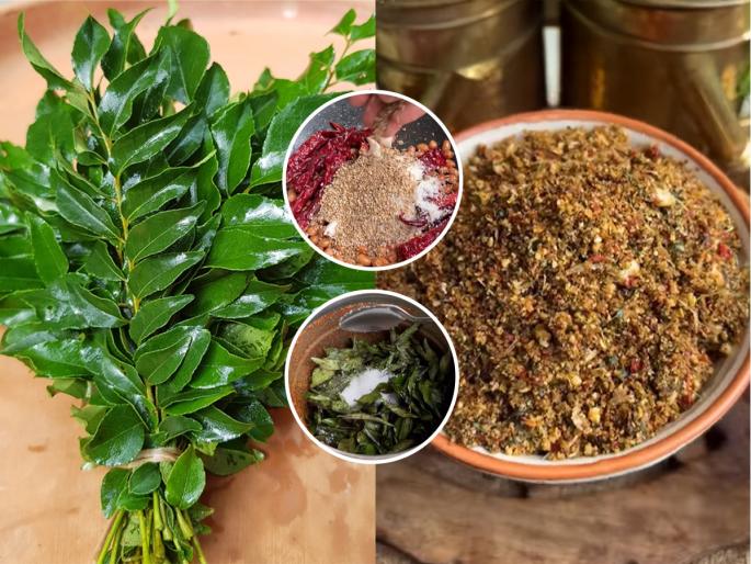 how to make curry leave chutney at Home simple and easy 10 minutes recipe benefits for hair | कडीपत्त्याची चटणी खा रोज, चव जबरदस्त आणि केसही होतील सुंदर! १० मिनिटांत होणारी सोपी रेसिपी
