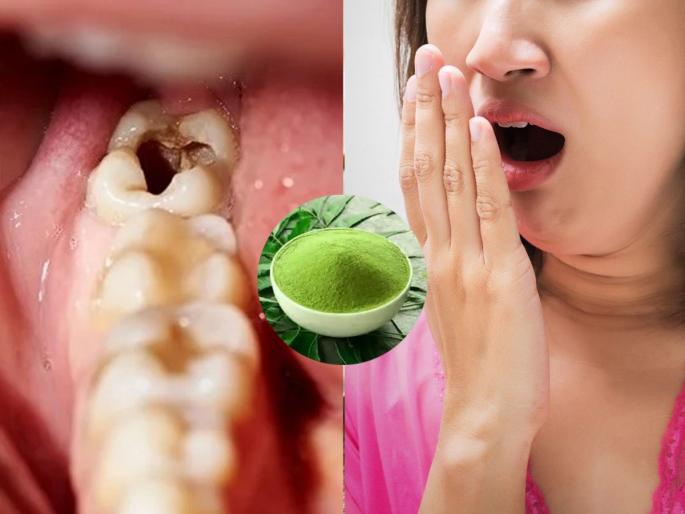 Teeth Whitening with Homemade Herbal Tooth Powder Herbal Tooth Powder Nature Secret For Oral Health Make Your Own Natural, Whitening Tooth Powder Simple homemade ayurvedic powder for teeth whitening | दात व हिरड्यांच्या समस्यांवर आजीबाईच्या बटव्यातील उपाय! वापरा घरगुती औषधी दंतमंजन-दात सांभाळा...
