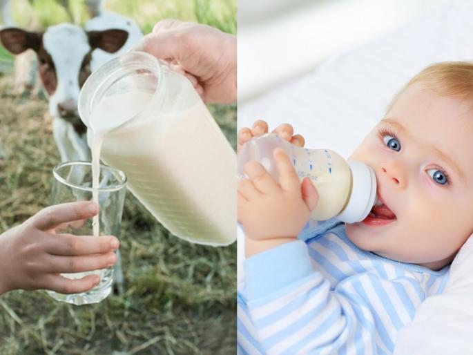 When to give cow milk to babies When is it safe to give cow’s milk to infants giving it at the wrong time can be harmful Doctors explain | लहान बाळांना गायीचे दूध कोणत्या महिन्यात देणं योग्य? डॉक्टर सांगतात, चुकीच्या वेळी गायीचं दूध म्हणजे..