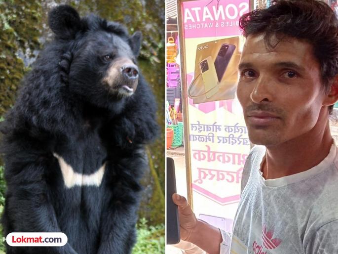A youth from Jalugade who was taking his cattle for grazing was seriously injured in a bear attack. | जनावरे चरायला घेऊन गेलेला जेलुगडेचा युवक अस्वलांच्या हल्ल्यात गंभीर जखमी A youth from Jalugade who was taking his cattle for grazing was seriously injured in a bear attack. | जनावरे चरायला घेऊन गेलेला जेलुगडेचा युवक अस्वलांच्या हल्ल्यात गंभीर जखमी
