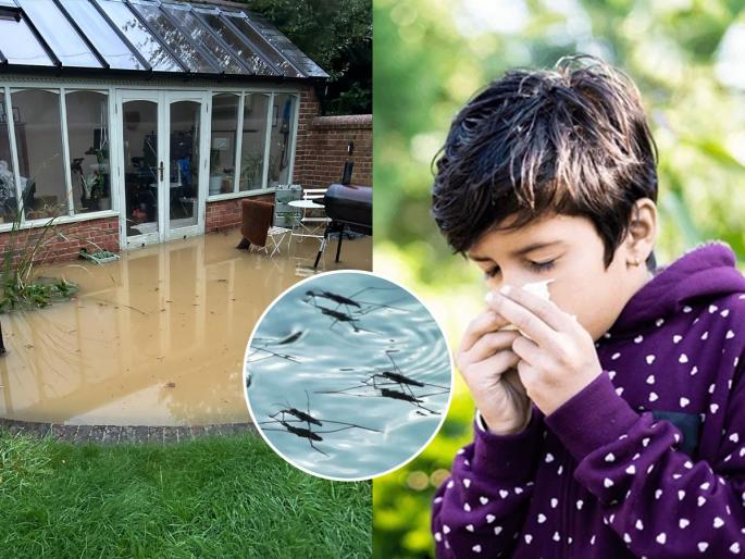 During the rainy season, water accumulated in the house means the whole house falls ill with diseases! Empty the pots and buckets! | पावसाळ्यात घरात साठलेलं पाणी म्हणजे रोगराईने सारं घर पडतं आजारी! कुंड्या-बादल्या करा रिकाम्या!