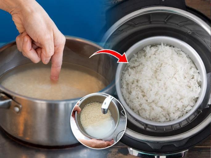Does rice in the cooker overflow from the pot? Add a pinch of 'this' while cooking the rice, see the magic | कुकरमध्ये लावलेला भात भांड्यातून उतू जातो? भात लावतानाच चिमूटभर ‘ही’ गोष्ट घाला, बघा जादू