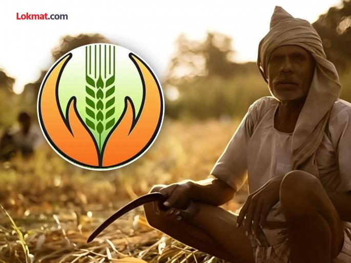 Major improvements in crop insurance scheme; Government takes out its own insurance | पीकविमा योजनेत मोठ्या सुधारणा; सरकारनेच उतरवला स्वतःचा विमा