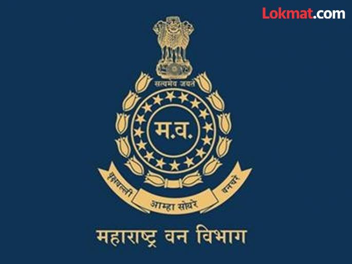Periodic transfers in the Forest Department are under suspicion; Only certain employees are exempted from the transfer process | वनविभागातील नियतकालिक बदल्या संशयाच्या भोवऱ्यात; विशिष्ट कर्मचाऱ्यांनाच बदलीप्रक्रियेत सूट Periodic transfers in the Forest Department are under suspicion; Only certain employees are exempted from the transfer process | वनविभागातील नियतकालिक बदल्या संशयाच्या भोवऱ्यात; विशिष्ट कर्मचाऱ्यांनाच बदलीप्रक्रियेत सूट