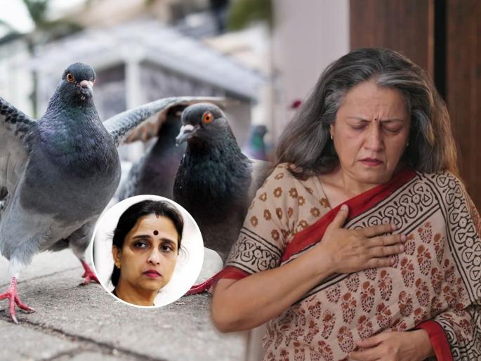 how to prevent diseases spread by pigeons, pigeon coop is dangerous than virus | कबुतरांचा उच्छाद ठरला जीवघेणा, चित्रा वाघ यांनी सांगितला भयंकर अनुभव! मरणयातना भोगाव्या लागतात कारण..