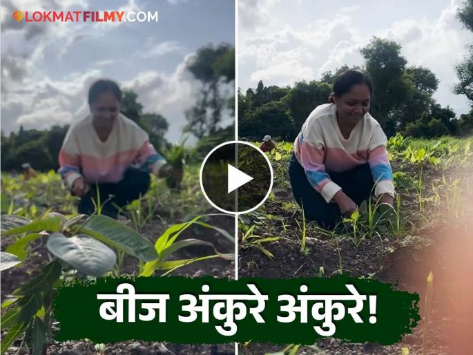Lakhat Ek Amcha Dada Serial Fame Actress Rajashri Nikam Working In Farm Share Video | लोकप्रिय अभिनेत्री शेतात गाळतेय घाम, ओळखणंही झालं कठीण! Lakhat Ek Amcha Dada Serial Fame Actress Rajashri Nikam Working In Farm Share Video | लोकप्रिय अभिनेत्री शेतात गाळतेय घाम, ओळखणंही झालं कठीण!