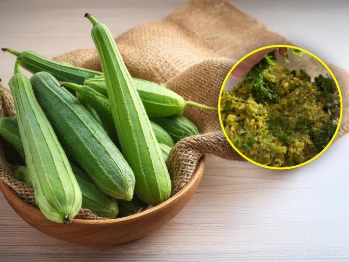 Food Recipe: If you make this spicy vegetable by grating the ridge gourd, you will become a fan of this recipe! | Recipe : किसलेल्या दोडक्याची ‘अशी’ चमचमीत करा भाजी, चव जबरदस्त-दोडक्याचेच व्हाल फॅन!