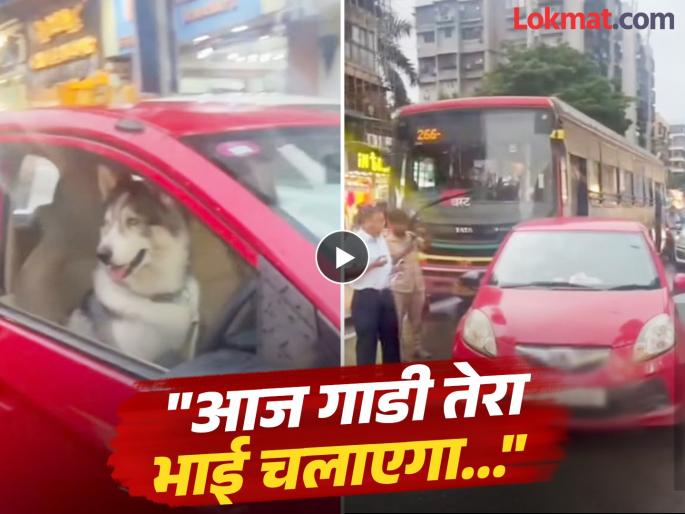 car with dog on drivers seat causes traffic jam in Mumbai Lokhandwala viral video sparks debate Gaadi aaj tera bhai chalayega | भर रस्त्यात कारचं पार्किंग, स्टेअरिंगवर चक्क कुत्रा! अंधेरीच्या लोखंडवालामध्ये अजब प्रकार; व्हिडिओ व्हायरल... car with dog on drivers seat causes traffic jam in Mumbai Lokhandwala viral video sparks debate Gaadi aaj tera bhai chalayega | भर रस्त्यात कारचं पार्किंग, स्टेअरिंगवर चक्क कुत्रा! अंधेरीच्या लोखंडवालामध्ये अजब प्रकार; व्हिडिओ व्हायरल...