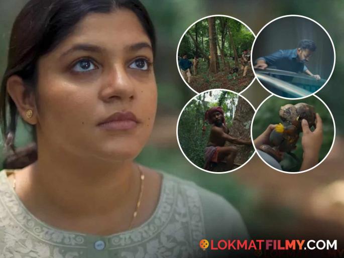 Ott Best South Suspence Thriller Kishkindha Kaandam Imdb Rating 8 Watch On Jio Hotstar | IMDb वर ८.० रेटिंग, 'या' थ्रिलर सिनेमाची होतेय तुफान चर्चा, ओटीटीवरही ट्रेडिंग! Ott Best South Suspence Thriller Kishkindha Kaandam Imdb Rating 8 Watch On Jio Hotstar | IMDb वर ८.० रेटिंग, 'या' थ्रिलर सिनेमाची होतेय तुफान चर्चा, ओटीटीवरही ट्रेडिंग!