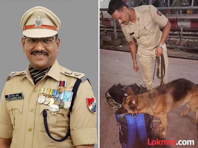 Ganja smugglers' shattered! Accurate target of 'narcos team' on the railway | गांजा तस्करांचे धाबे दणाणले! रेल्वेतील 'नार्कोस टीम'चा अचूक वेध Ganja smugglers' shattered! Accurate target of 'narcos team' on the railway | गांजा तस्करांचे धाबे दणाणले! रेल्वेतील 'नार्कोस टीम'चा अचूक वेध