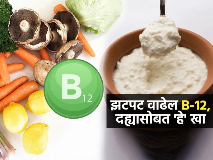 Top Veg Food Vitamin B-12 : Eat This 3 Foods With Curd To Increase Vitamin B-12 | व्हेज खाऊनही मिळेल भरपूर व्हिटामीन B-12; दह्यात ३ पदार्थ कालवून खा-वाढेल ताकद