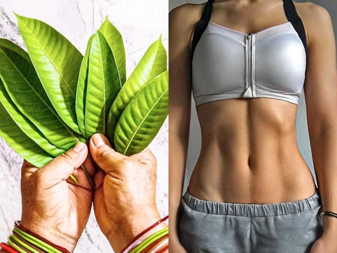 Chewing Mango Leaves Empty Stomach In The Morning For Weight Loss | पोट-मांड्या जाड्या, कंबरेचा शेपच बिघडलाय? उपाशीपोटी 'ही' पानं चावून खा, झरझर घटेल वजन