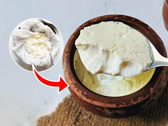 Janmashtami Special : How To Make Curd With Thick Layer Dahi 5 Tricks To Make Perfect Dahi | गोकुळाष्टमी : गोपाळकाल्यासाठी घरीच लावा घट्ट दही, ५ ट्रिक्स-पावसाळी हवेतही दही विरजेल मस्त