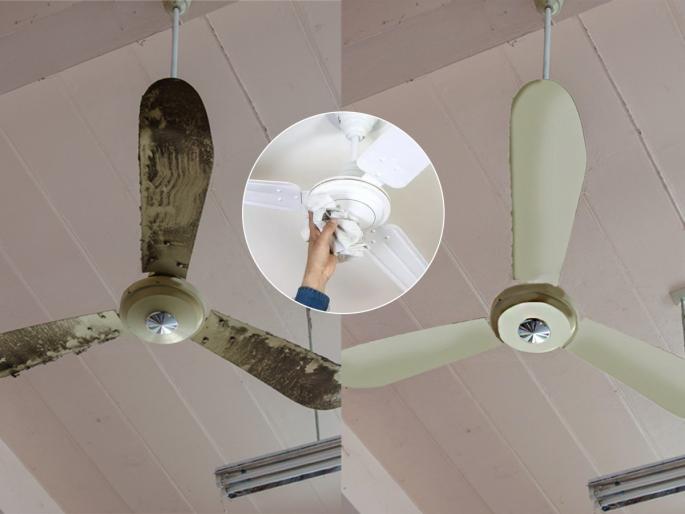 How To Clean Fan At Home : Cleaning Tips How To Clean Fan Easily | धूळ-घाणीच्या थरांमुळे पंखा मळकट दिसतोय? 4 टिप्स, गणपतीत चकाचक, नव्यासारखा दिसेल पंखा